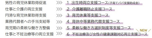 両立支援助成金とは？